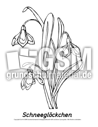 Tafelkarte-Schneeglöckchen-2-SW.pdf